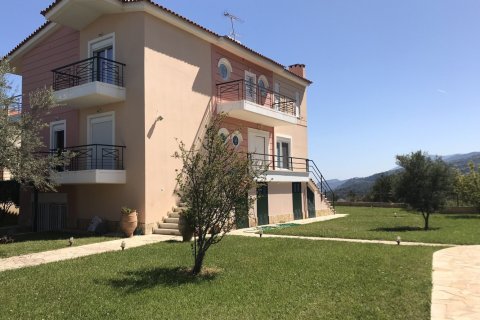 10 rooms Villa in Achaea, Greece No. 55898 3