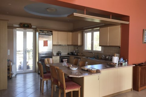 10 rooms Villa in Achaea, Greece No. 55898 24