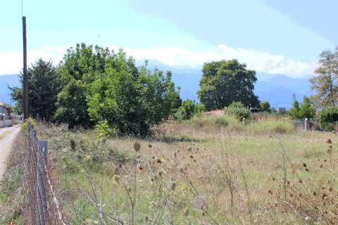 2000m² Land en Pieria, Greece No. 109564 4