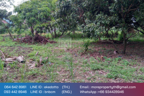 Land in Chiang Mai, Thailand No. 97852 19