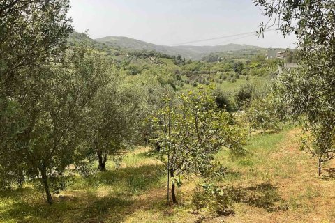 2 rooms House in Heraklion, Greece No. 113700 3