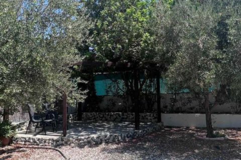 Дом с 3 спальнями в Пареклисия, Кипр №72575 9