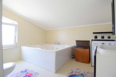 4 chambres Villa à Nong Ha, Vietnam No. 12409 3