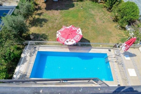 4 chambres Villa à Nong Ha, Vietnam No. 12409 5