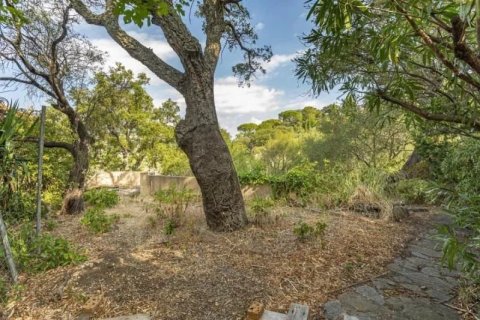 20 bedrooms Commercial property in Grimaud, France No. 80047 9