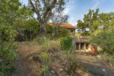 20 bedrooms Commercial property in Grimaud, France No. 80047 2