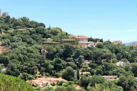 20 bedrooms Commercial property in Grimaud, France No. 80047 11