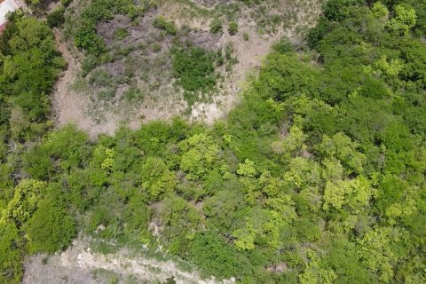 1538m² Land in Falmouth, Antigua and Barbuda No. 64966 6