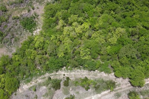 1538m² Land in Falmouth, Antigua and Barbuda No. 64966 4