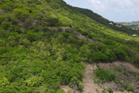 1538m² Land in Falmouth, Antigua and Barbuda No. 64966 10