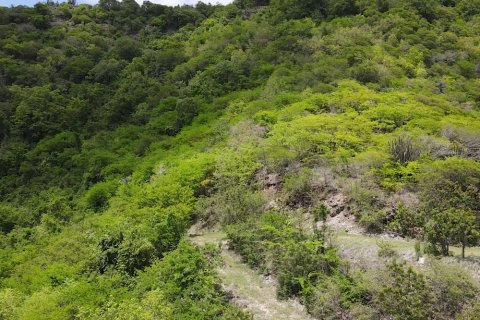 1538m² Land in Falmouth, Antigua and Barbuda No. 64966 2