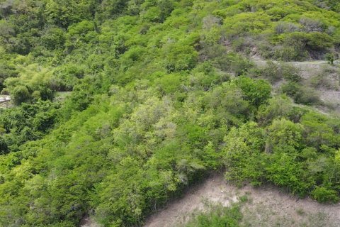 1538m² Land in Falmouth, Antigua and Barbuda No. 64966 7