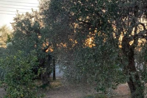 3 bedrooms House in Moni, Cyprus No. 79662 6