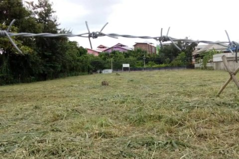 Land in Chiang Mai, Thailand No. 97613 6