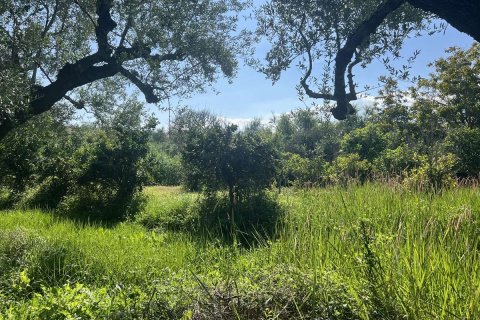 Дом с 2 спальнями в Закинтос, Греция №76135 21