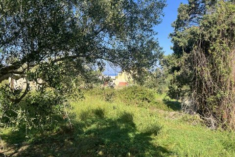 Дом с 2 спальнями в Закинтос, Греция №76135 23