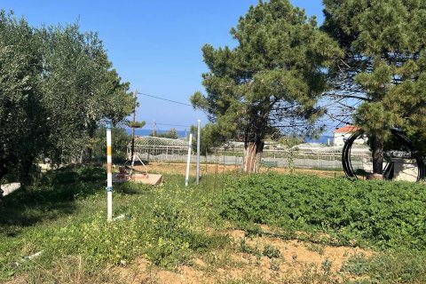 Дом с 2 спальнями в Закинтос, Греция №76135 8