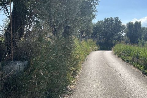 Дом с 2 спальнями в Закинтос, Греция №76135 9