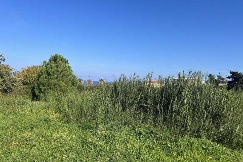 Дом с 2 спальнями в Закинтос, Греция №76135 10