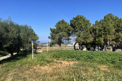 Дом с 2 спальнями в Закинтос, Греция №76135 15