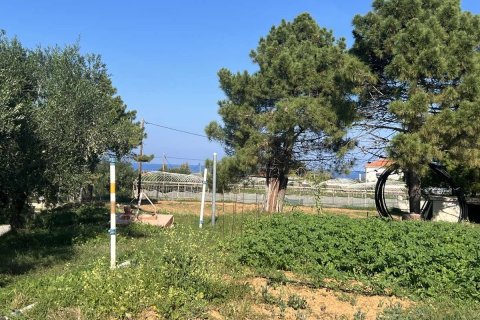 Дом с 2 спальнями в Закинтос, Греция №76135 1