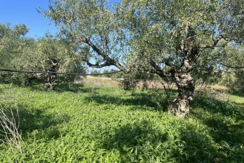 Дом с 2 спальнями в Закинтос, Греция №76135 22