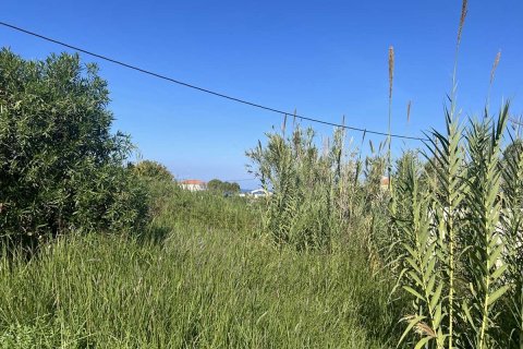 Дом с 2 спальнями в Закинтос, Греция №76135 14