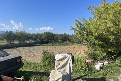 Дом с 2 спальнями в Закинтос, Греция №76135 7