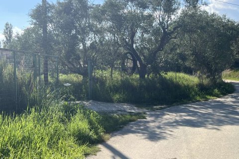 Дом с 2 спальнями в Закинтос, Греция №76135 6