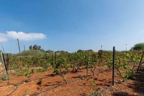 4 bedrooms Villa in Protaras, Cyprus No. 83238 7