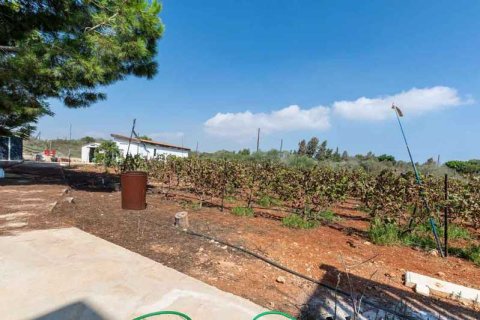 4 bedrooms Villa in Protaras, Cyprus No. 83238 8