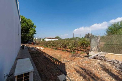 4 bedrooms Villa in Protaras, Cyprus No. 83238 9