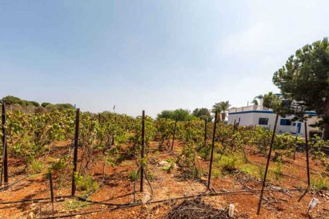 4 bedrooms Villa in Protaras, Cyprus No. 83238 6