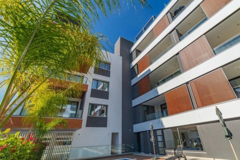 Apartamento tipo estudio Estudio en Limassol, Cyprus No. 105313 7