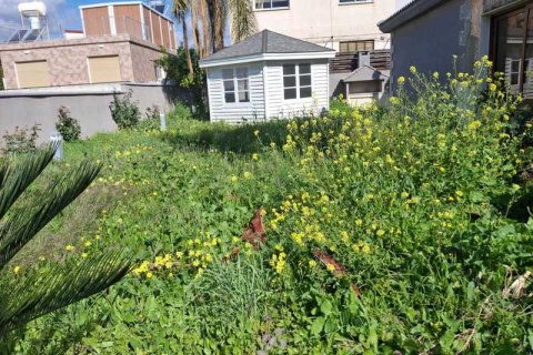 Дом с 3 спальнями в Ипсонас, Кипр №83257 15