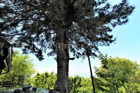 2 chambres Villa à Tra Vinh, Vietnam No. 14281 15