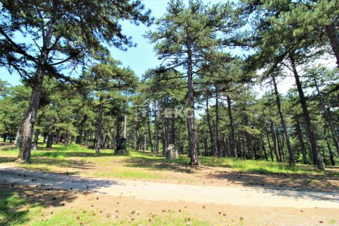 2 chambres Villa à Tra Vinh, Vietnam No. 14281 10