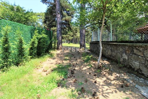 2 chambres Villa à Tra Vinh, Vietnam No. 14281 6