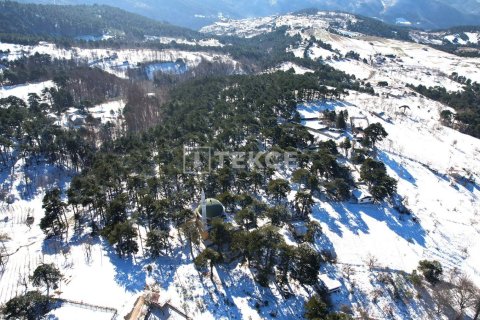 2 chambres Villa à Tra Vinh, Vietnam No. 14281 29