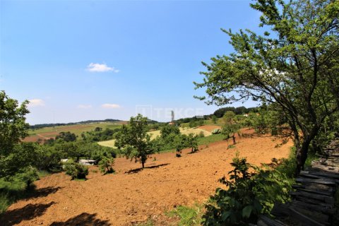 2 chambres Villa à Tra Vinh, Vietnam No. 14281 22
