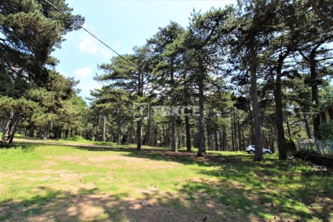 2 chambres Villa à Tra Vinh, Vietnam No. 14281 7