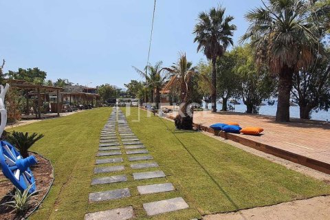 Квартира с 1 спальней в Phi Dien, Вьетнам №11090 11