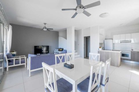 3 bedrooms House in Chloraka, Cyprus No. 79888 6