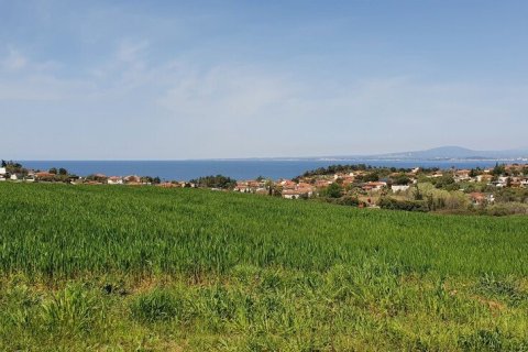 10500m² Land in Chalkidiki, Greece No. 56340 6