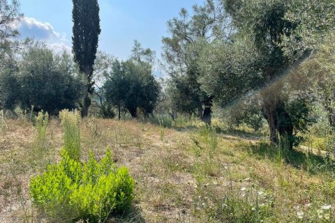 2 bedrooms House in Corfu, Greece No. 109396 28