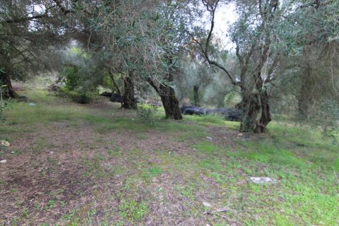 6400m² Land à Corfu, Greece No. 58357 5