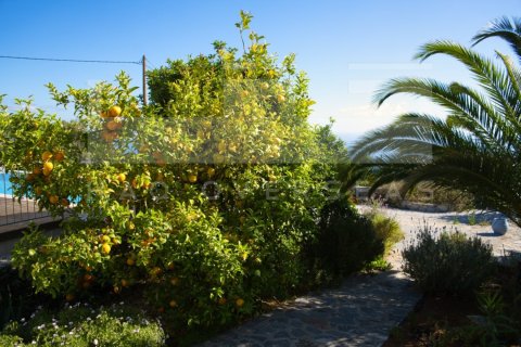 3 bedrooms Villa in Crete, Greece No. 64936 5