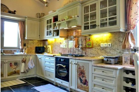 2 bedrooms Villa in Central Greece, Greece No. 49314 7