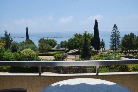 Studio Apartment in Limassol, Cyprus No. 105746 15