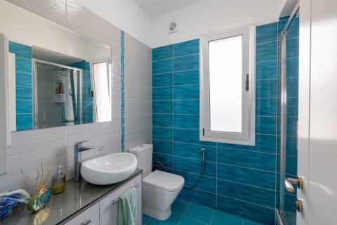 5 chambres House à Tala, Cyprus No. 75991 11